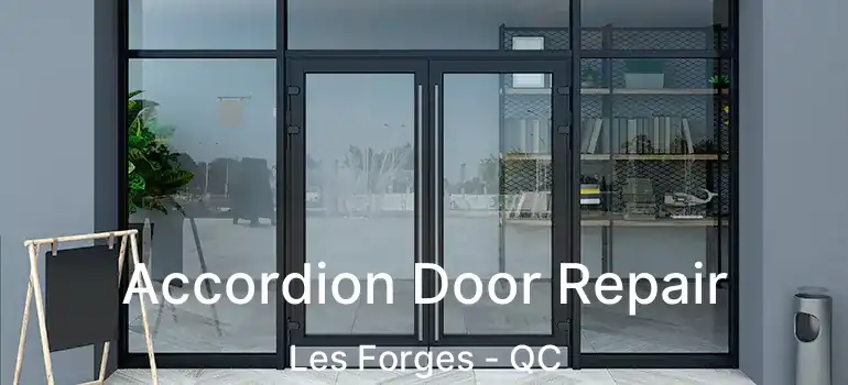  Accordion Door Repair Les Forges - QC