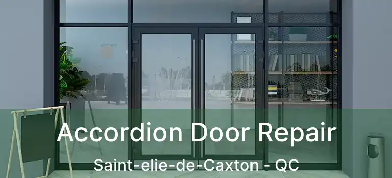  Accordion Door Repair Saint-elie-de-Caxton - QC