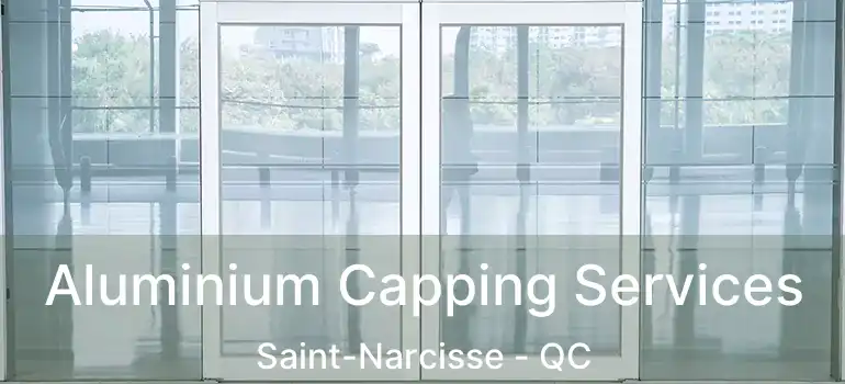  Aluminium Capping Services Saint-Narcisse - QC