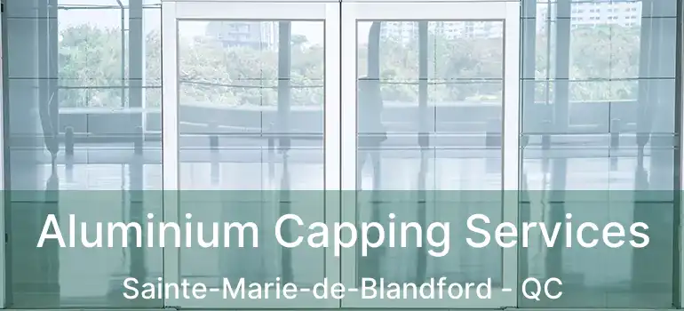  Aluminium Capping Services Sainte-Marie-de-Blandford - QC