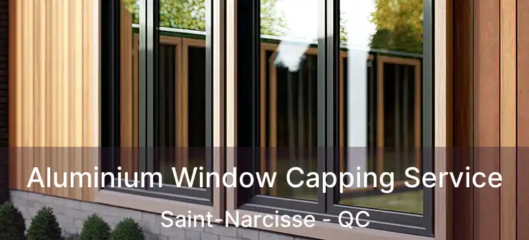  Aluminium Window Capping Service Saint-Narcisse - QC