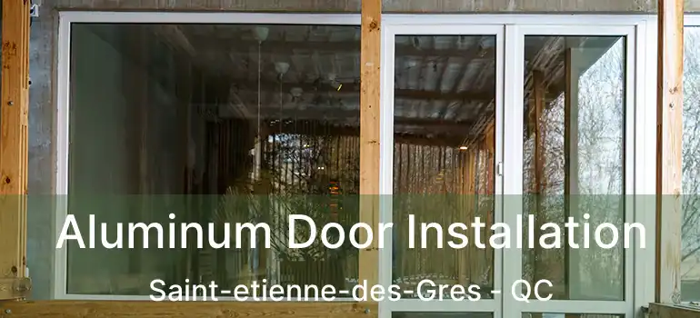  Aluminum Door Installation Saint-etienne-des-Gres - QC