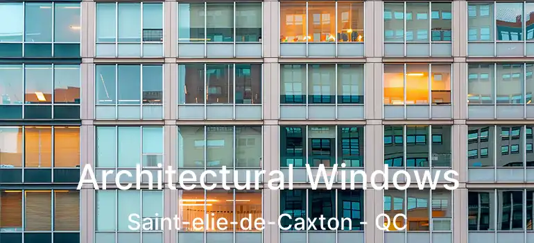  Architectural Windows Saint-elie-de-Caxton - QC