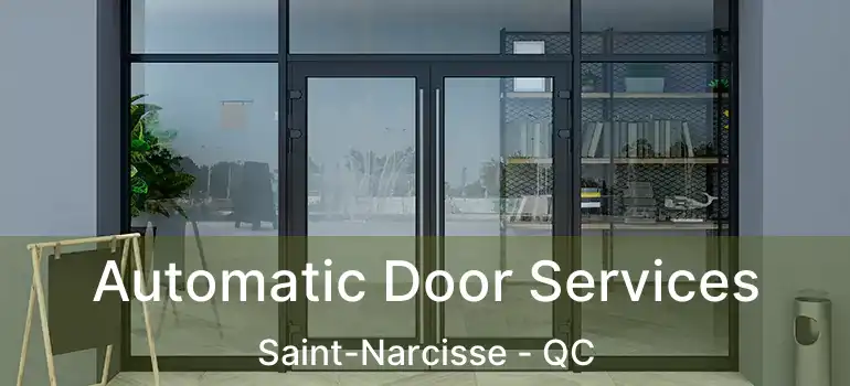  Automatic Door Services Saint-Narcisse - QC