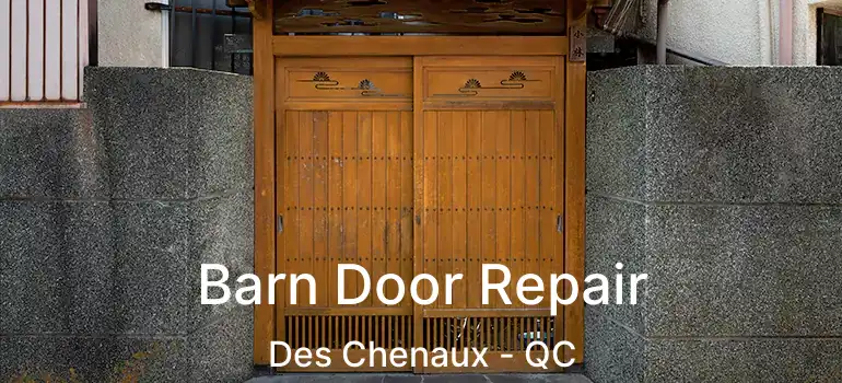  Barn Door Repair Des Chenaux - QC