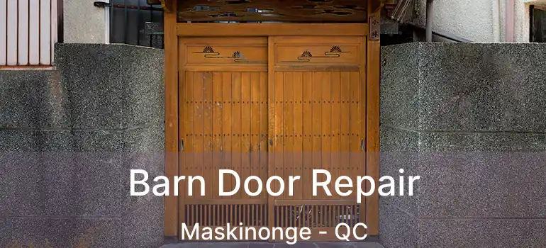  Barn Door Repair Maskinonge - QC