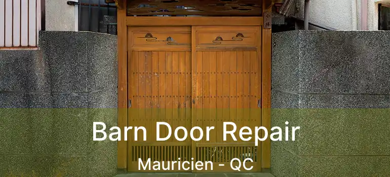  Barn Door Repair Mauricien - QC