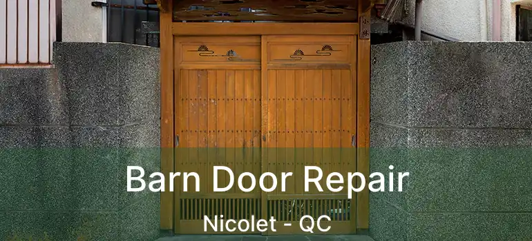  Barn Door Repair Nicolet - QC