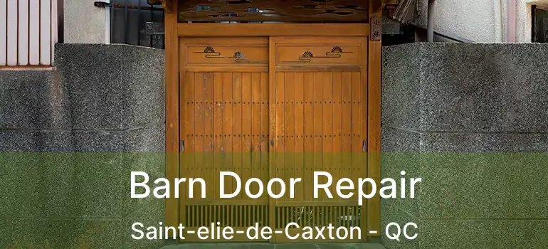  Barn Door Repair Saint-elie-de-Caxton - QC
