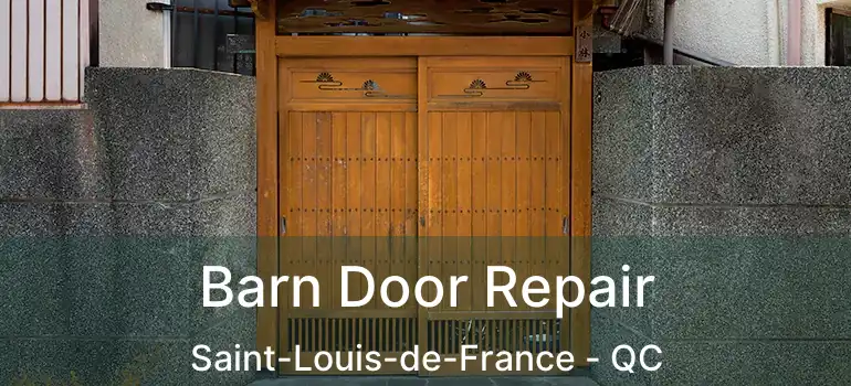  Barn Door Repair Saint-Louis-de-France - QC