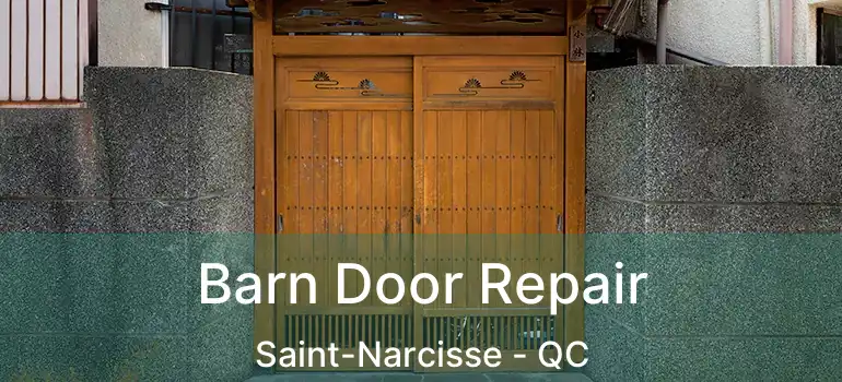 Barn Door Repair Saint-Narcisse - QC