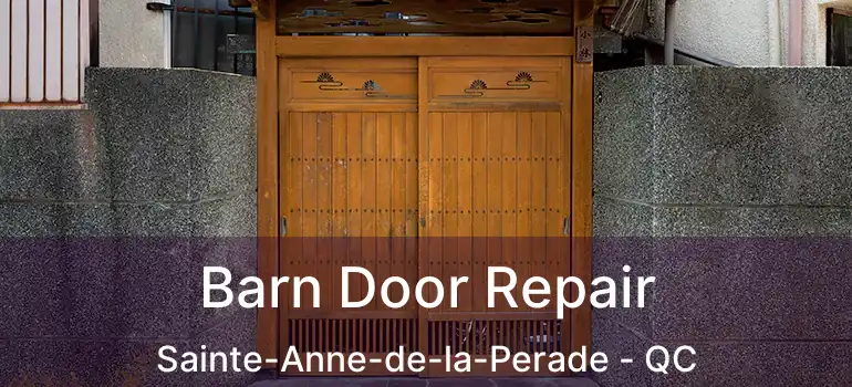  Barn Door Repair Sainte-Anne-de-la-Perade - QC