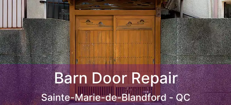  Barn Door Repair Sainte-Marie-de-Blandford - QC