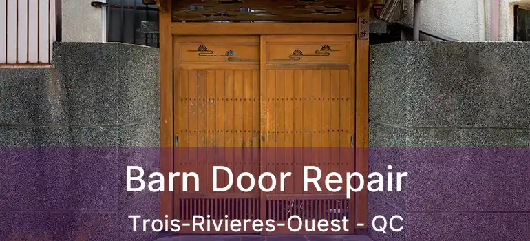  Barn Door Repair Trois-Rivieres-Ouest - QC