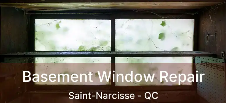  Basement Window Repair Saint-Narcisse - QC