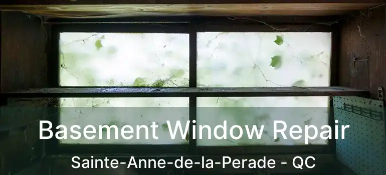  Basement Window Repair Sainte-Anne-de-la-Perade - QC