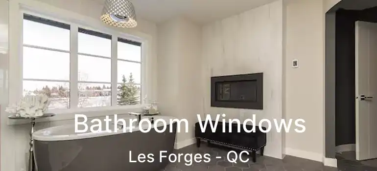  Bathroom Windows Les Forges - QC