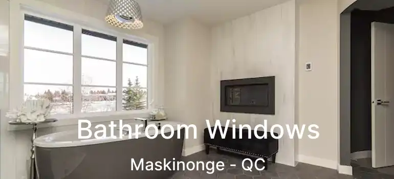  Bathroom Windows Maskinonge - QC