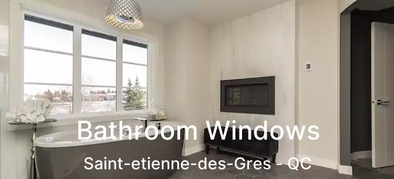  Bathroom Windows Saint-etienne-des-Gres - QC