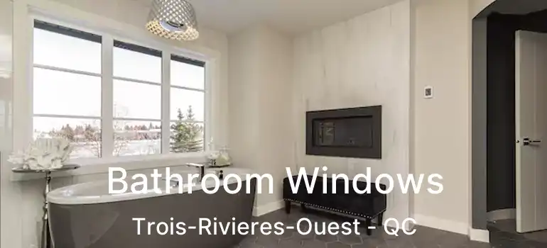  Bathroom Windows Trois-Rivieres-Ouest - QC
