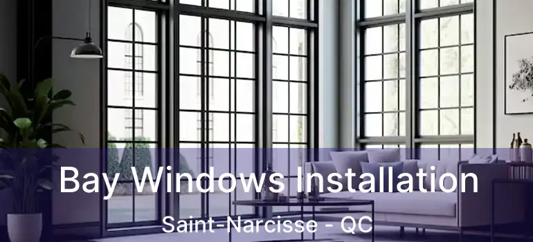  Bay Windows Installation Saint-Narcisse - QC
