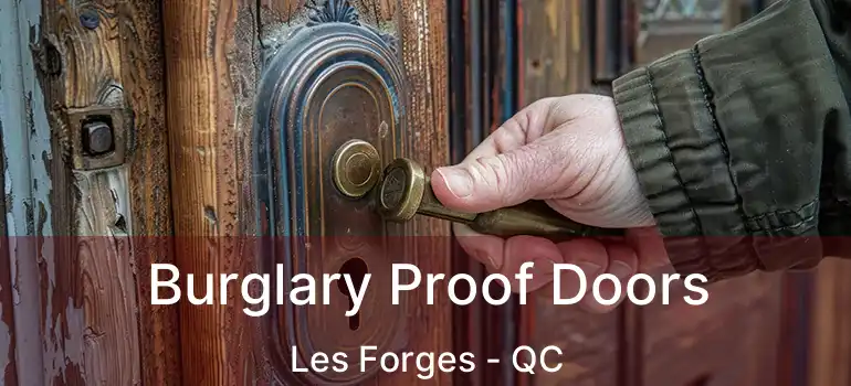  Burglary Proof Doors Les Forges - QC