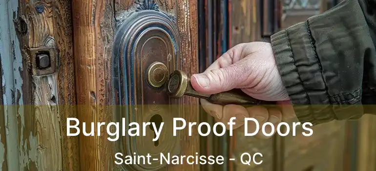  Burglary Proof Doors Saint-Narcisse - QC