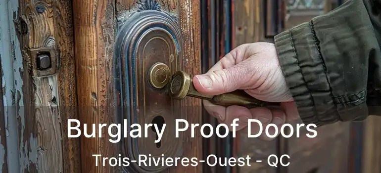  Burglary Proof Doors Trois-Rivieres-Ouest - QC