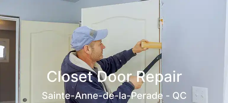  Closet Door Repair Sainte-Anne-de-la-Perade - QC