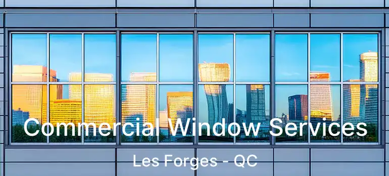  Commercial Window Services Les Forges - QC