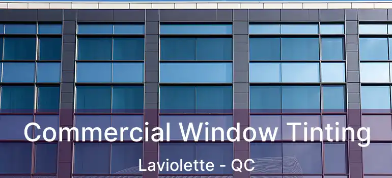  Commercial Window Tinting Laviolette - QC
