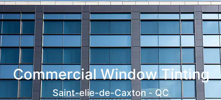  Commercial Window Tinting Saint-elie-de-Caxton - QC