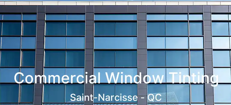  Commercial Window Tinting Saint-Narcisse - QC
