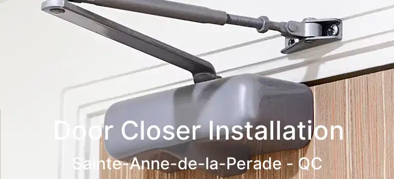  Door Closer Installation Sainte-Anne-de-la-Perade - QC