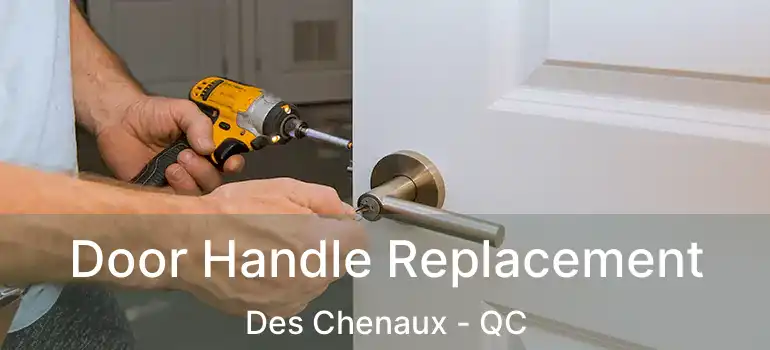  Door Handle Replacement Des Chenaux - QC