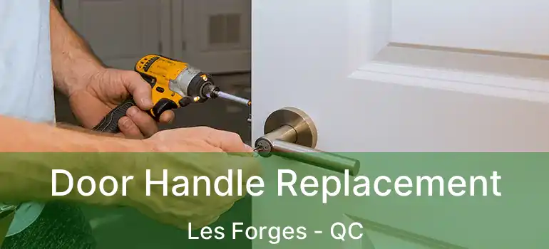  Door Handle Replacement Les Forges - QC