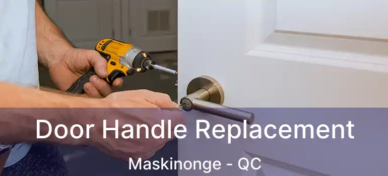  Door Handle Replacement Maskinonge - QC