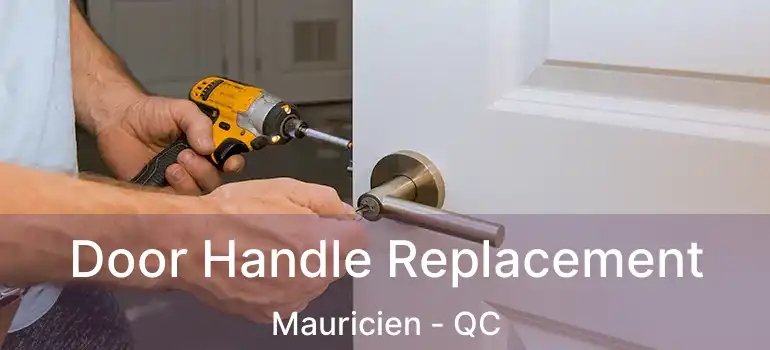  Door Handle Replacement Mauricien - QC