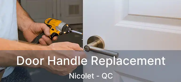  Door Handle Replacement Nicolet - QC