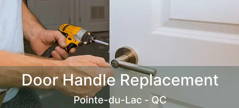 Door Handle Replacement Pointe-du-Lac - QC