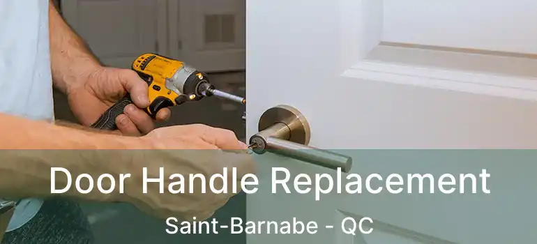  Door Handle Replacement Saint-Barnabe - QC