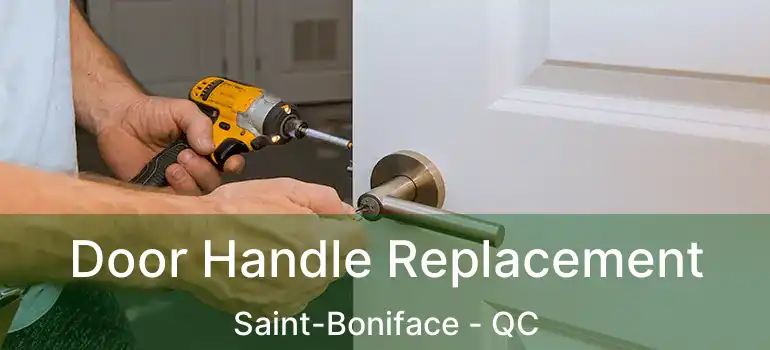  Door Handle Replacement Saint-Boniface - QC