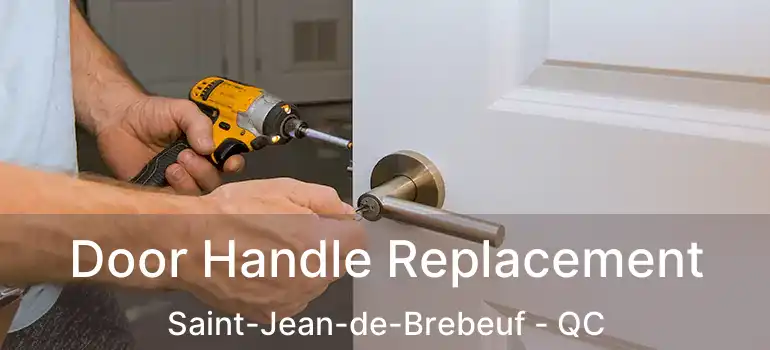  Door Handle Replacement Saint-Jean-de-Brebeuf - QC