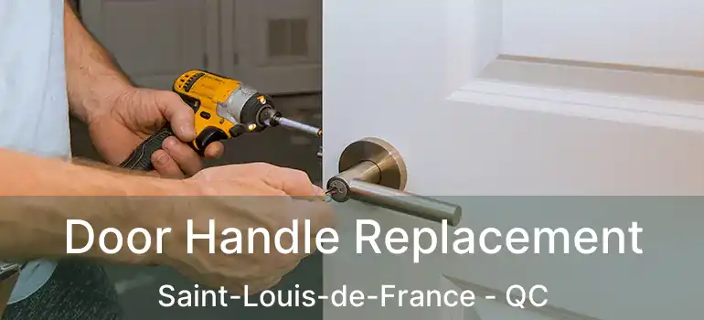  Door Handle Replacement Saint-Louis-de-France - QC