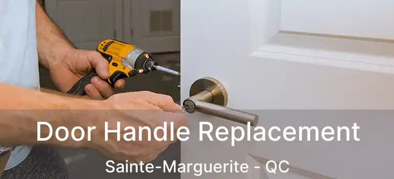  Door Handle Replacement Sainte-Marguerite - QC