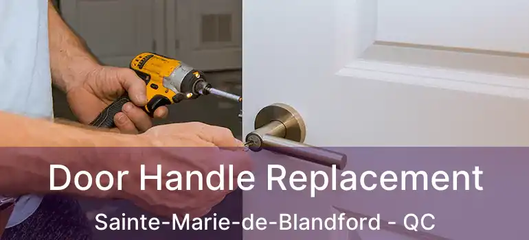  Door Handle Replacement Sainte-Marie-de-Blandford - QC
