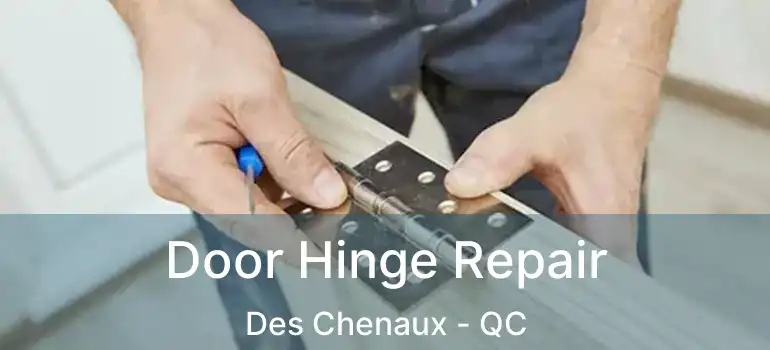  Door Hinge Repair Des Chenaux - QC
