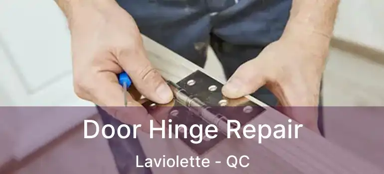  Door Hinge Repair Laviolette - QC