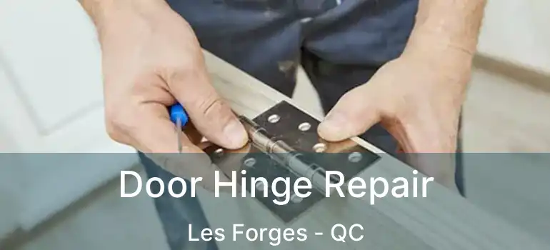  Door Hinge Repair Les Forges - QC