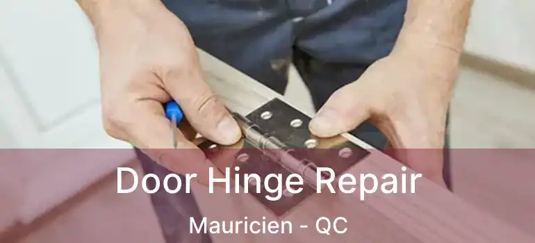  Door Hinge Repair Mauricien - QC